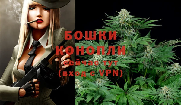 бошки Балахна