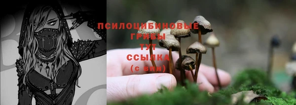 прущая мука Арсеньев