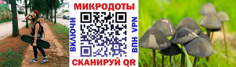 Галлюциногенные грибы GOLDEN TEACHER  мега маркетплейс  Тамбов 